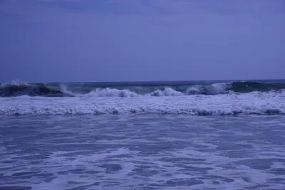 DSC_2168 (Large).JPG